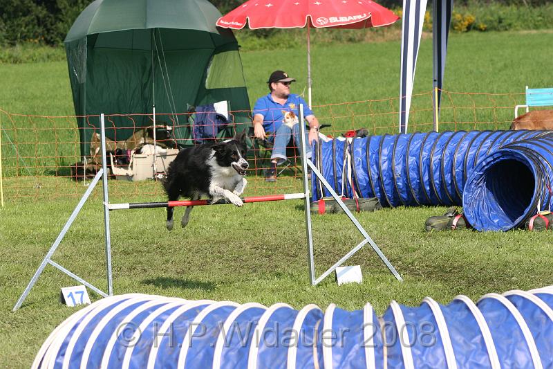 jubil.lusten. 096.jpg